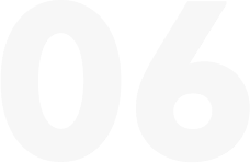 number 06